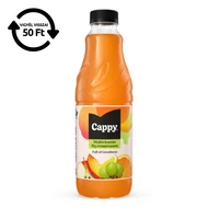Gyümölcslé CAPPY Multivitamin 50%-os 1L DRS
